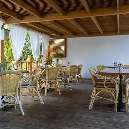 Coral House & Food (adults Only) 酒店 帕尔马海滩